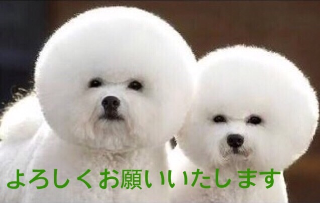 ワンコ
